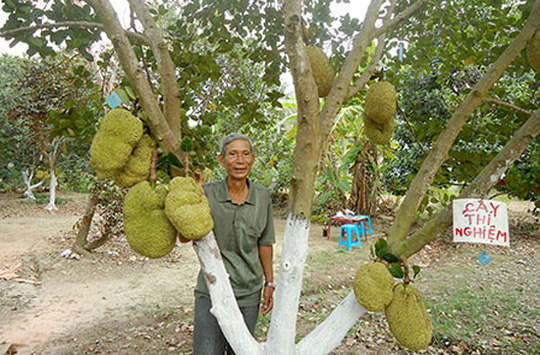 Mô tả ảnh