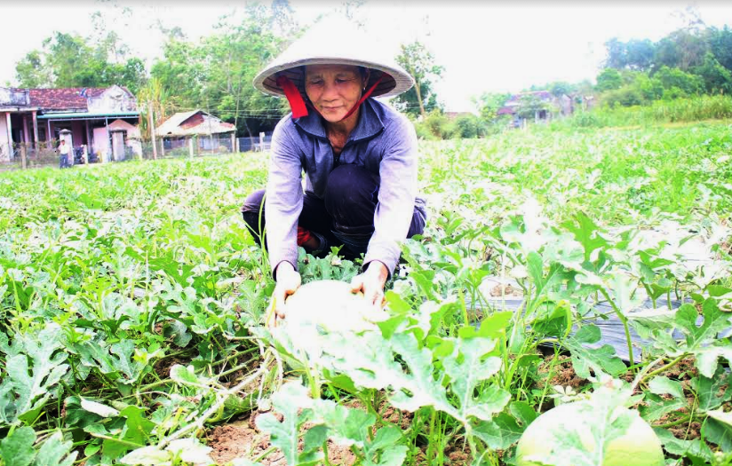 Mô tả ảnh