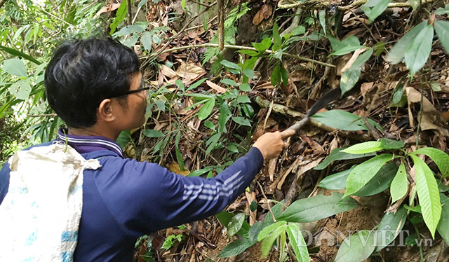 Mô tả ảnh