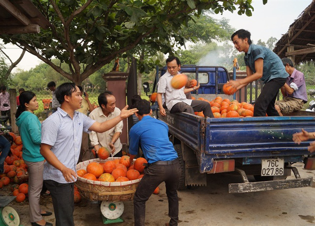 Mô tả ảnh