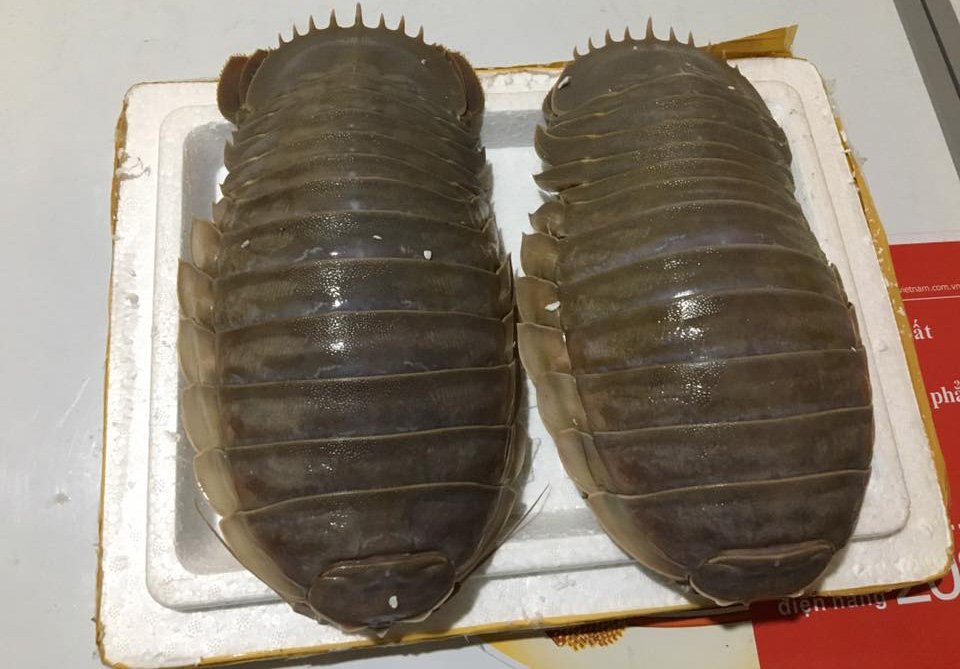 Mô tả ảnh