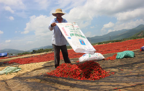 Mô tả ảnh