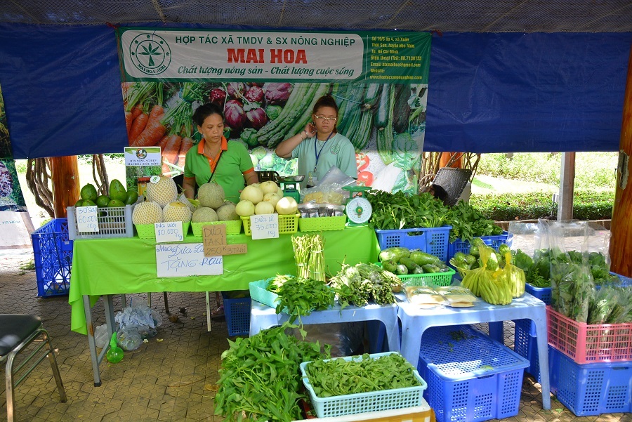 Mô tả ảnh