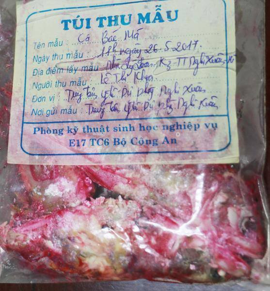 Mô tả ảnh