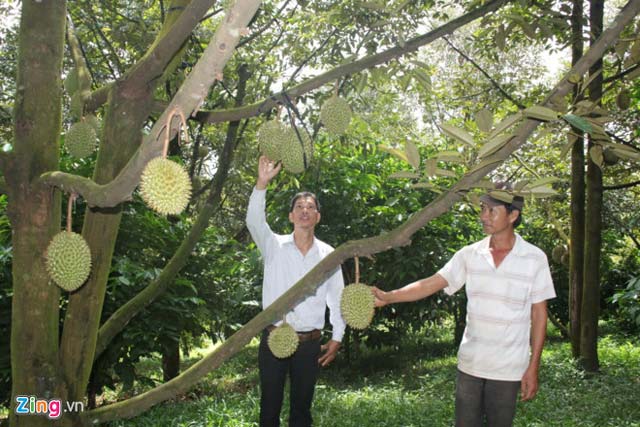 Mô tả ảnh