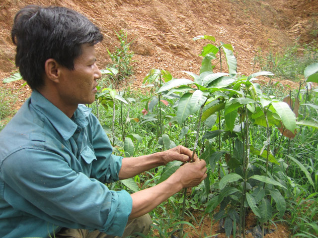 Mô tả ảnh