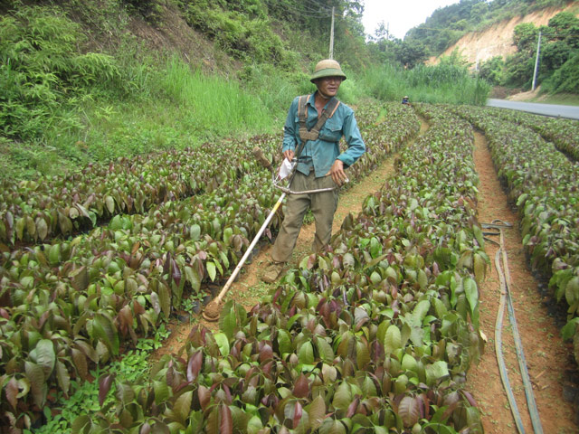 Mô tả ảnh