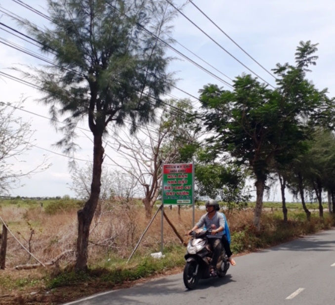 Mô tả ảnh