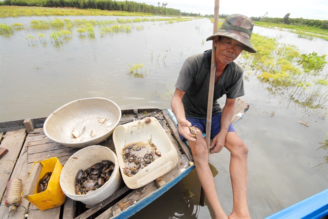 Mô tả ảnh
