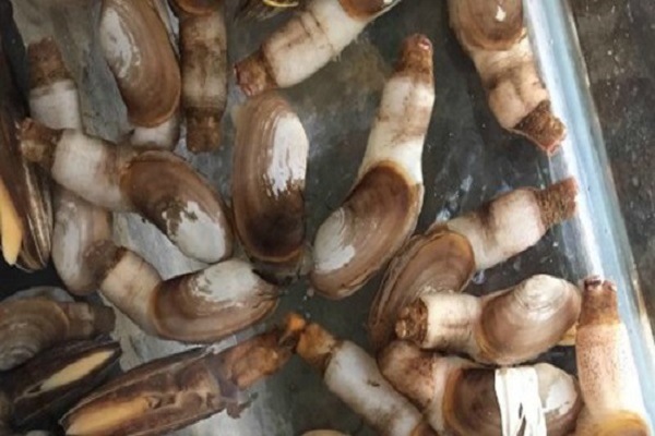 Mô tả ảnh