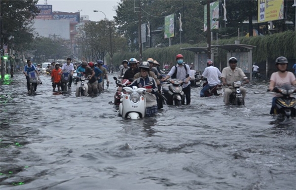 Mô tả ảnh