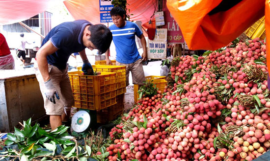 Bắc Giang thu hơn 5.300 tỷ đồng vụ vải thiều năm 2017