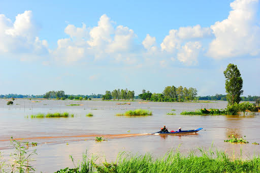 Nong dan mien Tay kiem tien 'de ot' nho lu ve som hon moi nam hinh anh 1