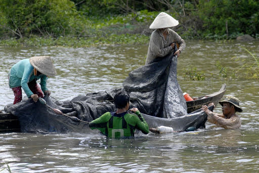 Nong dan mien Tay kiem tien 'de ot' nho lu ve som hon moi nam hinh anh 9