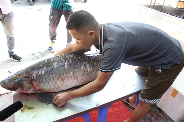 ca-tram-den-khung-nang-42-kg-tu-yen-bai-ve-ha-noi