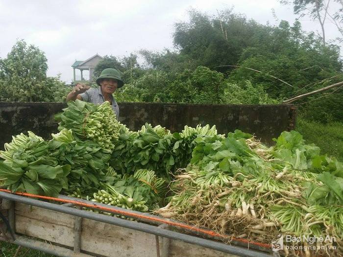 Thắt lòng "khúc ruột" miền Trung tan hoang sau siêu bão