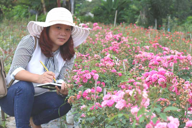 vườn hồng,vườn hồng đẹp,trồng hoa hồng,hoa hồng,thu chơi hoa hồng