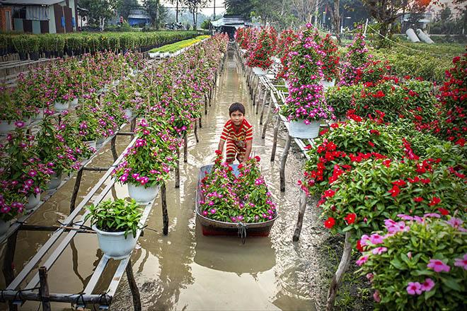 Làng hoa Sa Đéc rực rỡ mùa Xuân 2018