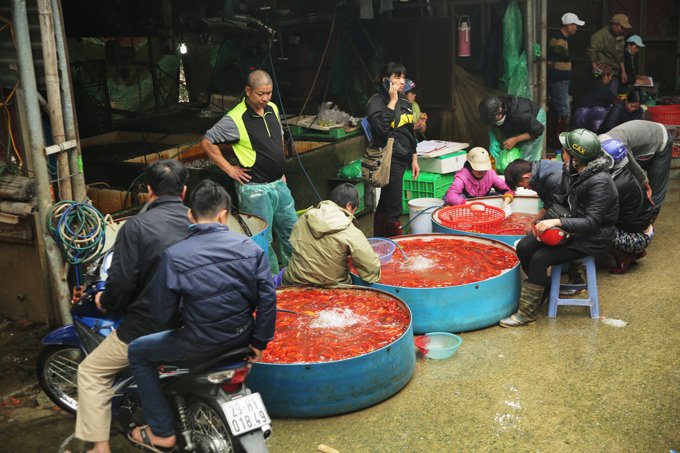 Tết ông Công ông Táo: Cá chép đắt hàng, tiểu thương lãi lớn