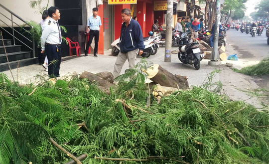 TP.HCM: Cây xanh bật gốc đè 4 người đang lưu thông trên phố