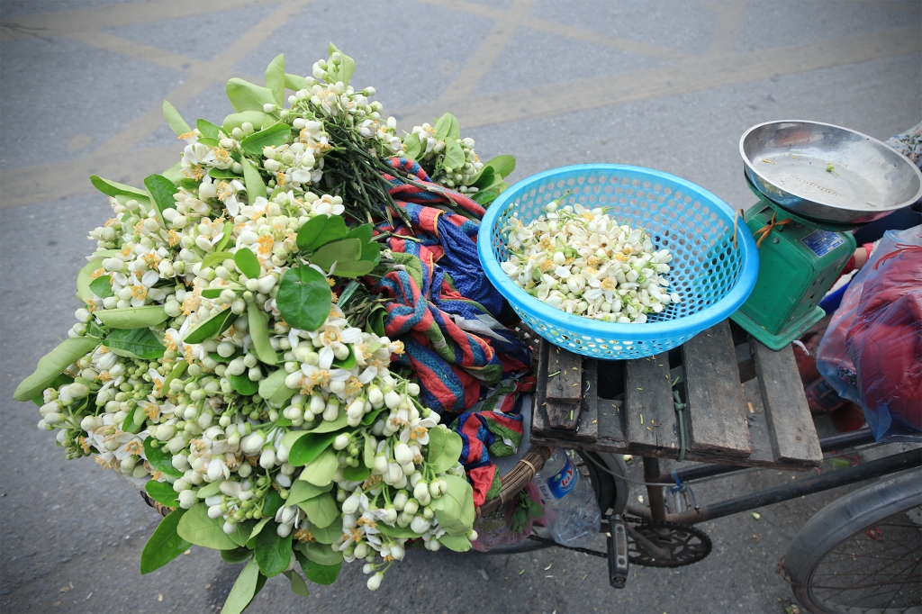 Hoa bưởi đầu mùa giá "chát" vẫn hút khách Hà Nội