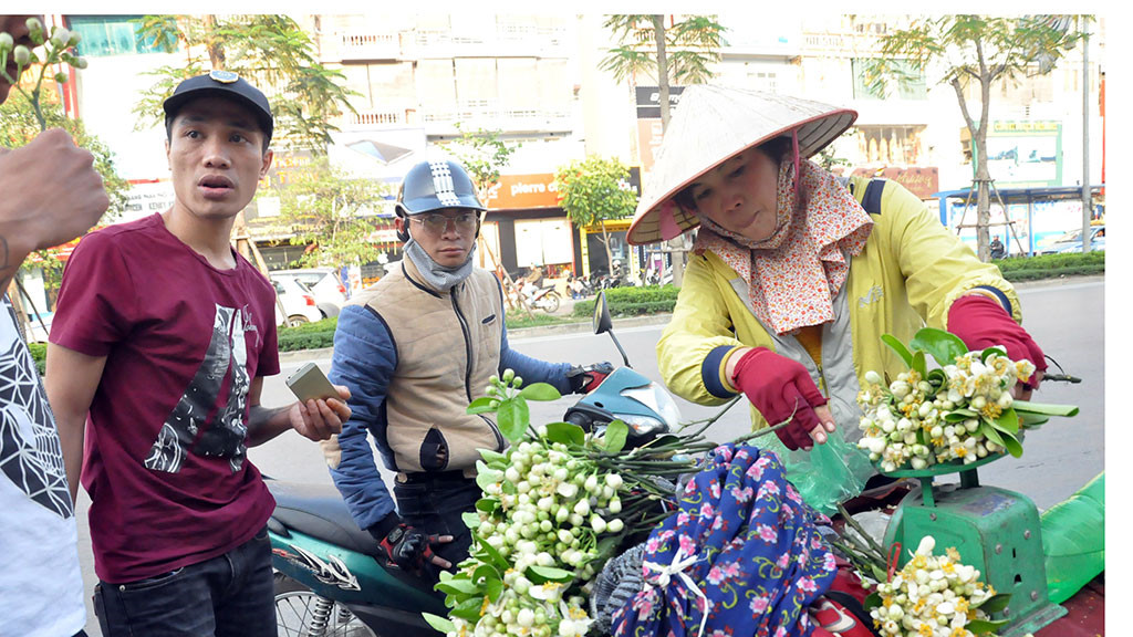 Hoa bưởi đầu mùa giá "chát" vẫn hút khách Hà Nội