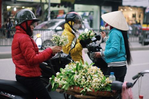 Hoa bưởi đầu mùa giá "chát" vẫn hút khách Hà Nội