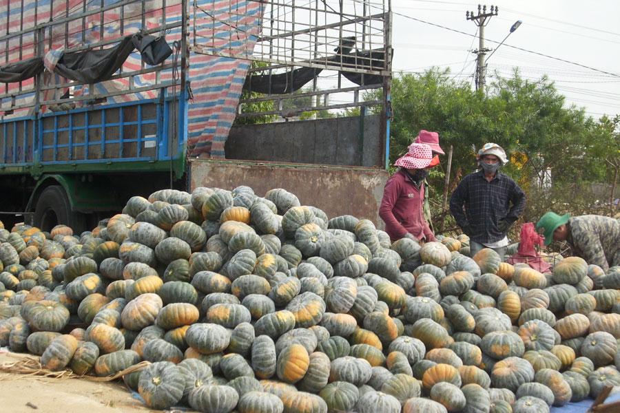 Tiêu dùng trong tuần: Giá vàng, xăng dầu, thực phẩm đồng loạt tăng mạnh