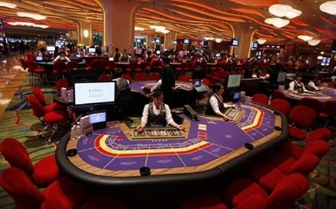 casino quảng ninh, truy thu thuế 