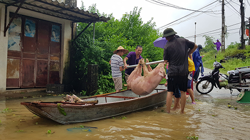 Hơn 7.000 người dân Thanh Hóa phải sơ tán vì nước lũ dâng cao