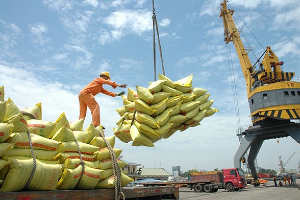 Việt Nam lần đầu tiên đăng cai tổ chức Hội nghị Gạo thế giới