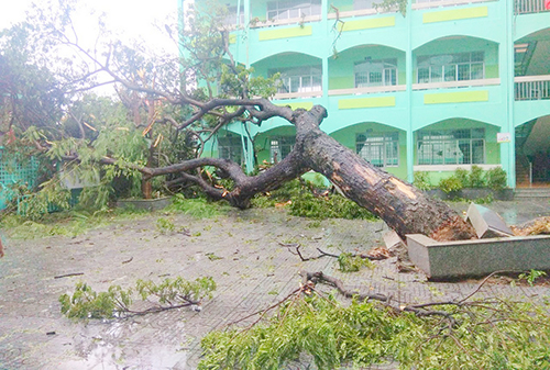 Hôm nay (26/11), học sinh tại TP Hồ Chí Minh, Bà Rịa - Vũng Tàu, Khánh Hòa được nghỉ học để khắc phục bão