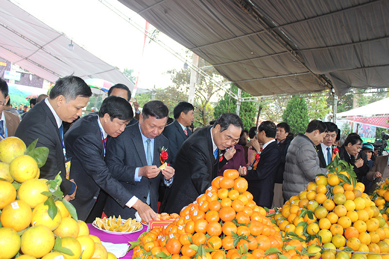 Khai mạc Lễ hội cây ăn quả có múi tỉnh Hòa Bình năm 2018