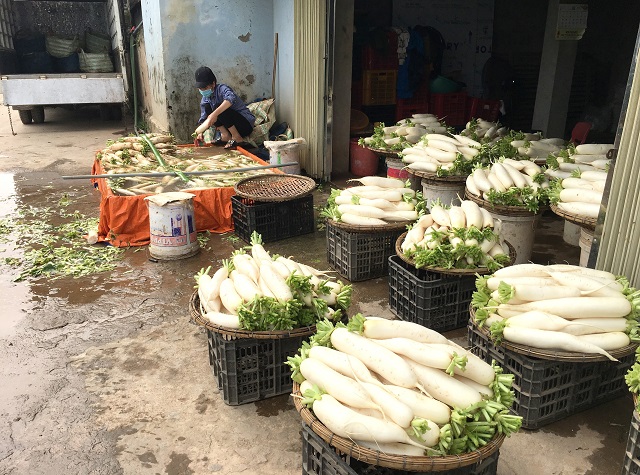 Đưa Tráng Việt thành vùng nguyên liệu rau củ quả