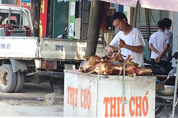 Vận động người dân từ bỏ thói quen ăn thịt chó - Bài 3: Phù hợp với thông lệ quốc tế