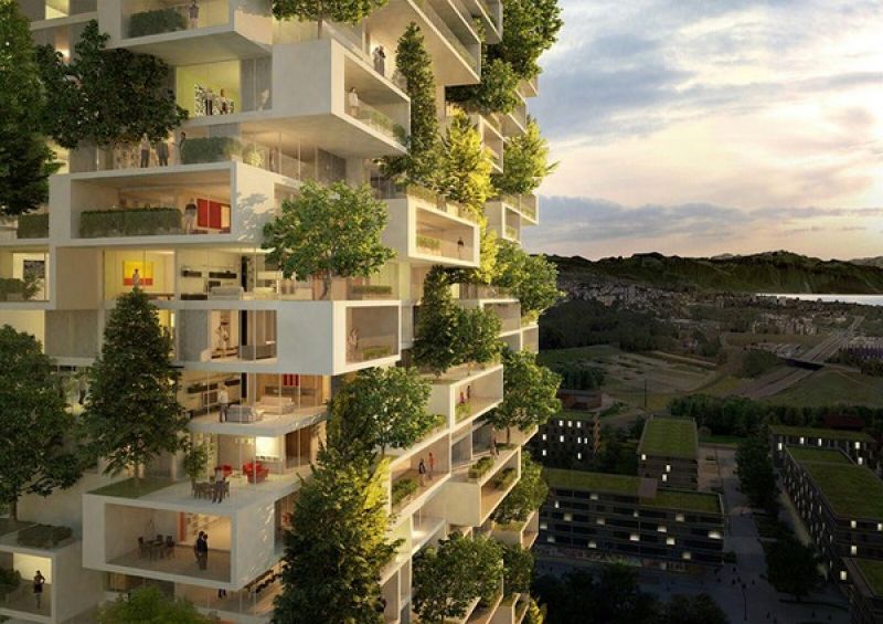 Giải pháp cải tạo tòa nhà chung cư thiếu không gian xanh