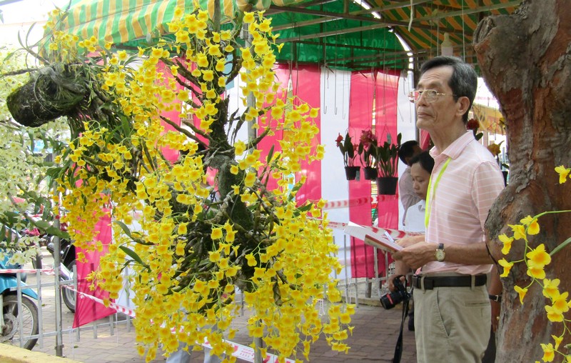 TP Hồ Chí Minh: Lần đầu tiên tổ chức festival hoa lan