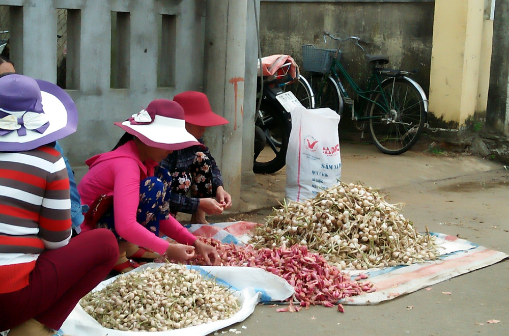 Tiêu dùng trong tuần: Giá vàng và tỏi giảm, trong khi giá thực phẩm tăng mạnh dịp cận Tết