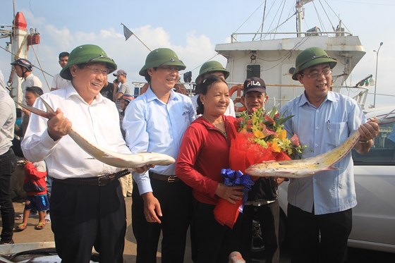 Ngư dân Quảng Trị trúng mẻ cá 150 tấn, trị giá hơn 7 tỷ đồng