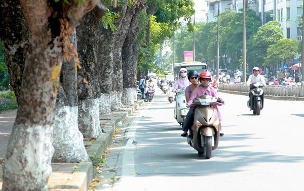 Dự báo thời tiết ngày 21/2: Miền Bắc nắng nóng trước khi đón không khí lạnh