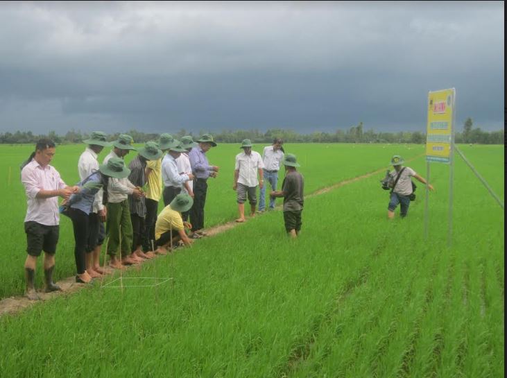 Mô tả ảnh