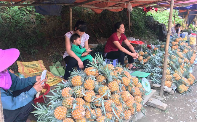 Tiêu dùng trong tuần: Giá vàng, tôm và trái cây đồng loạt giảm mạnh, trong khi thực phẩm tăng giá