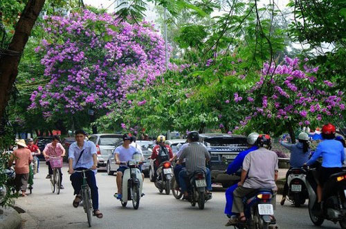 Thời tiết ngày 11/5: Miền Bắc dịu mát, Trung Bộ và Nam Bộ có mưa to