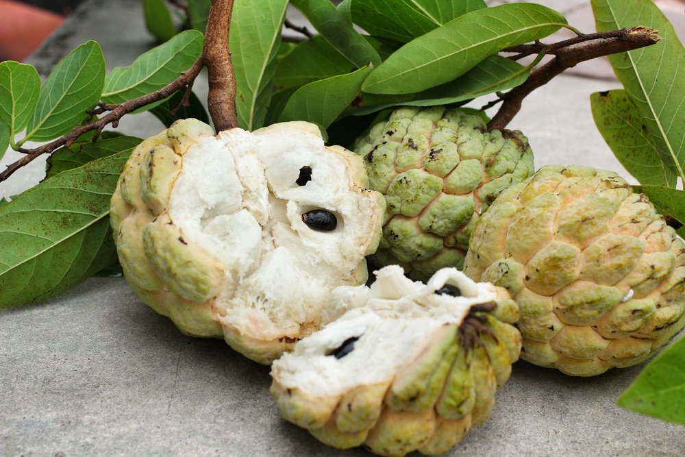 quả na 