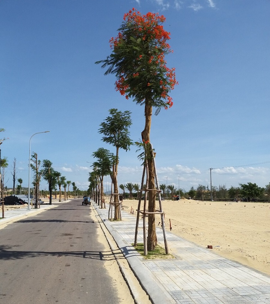 Đất nền sổ đỏ ven biển Nhơn Hội New City Danh Khôi