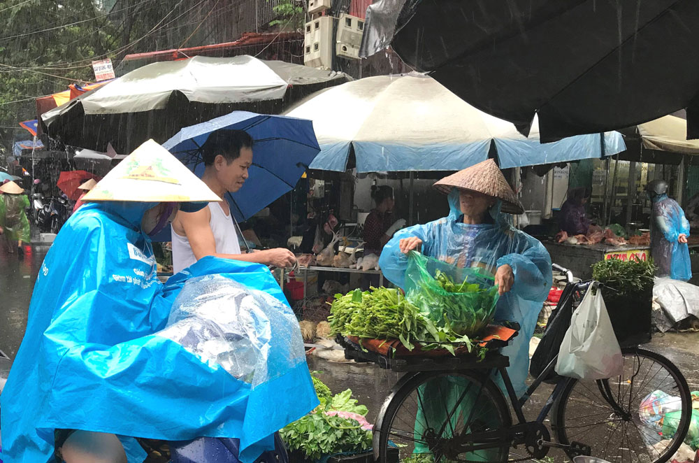 Mưa lớn kéo dài, rau xanh tăng giá mạnh