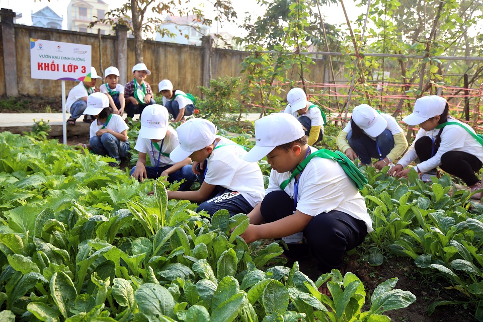 Mô tả ảnh