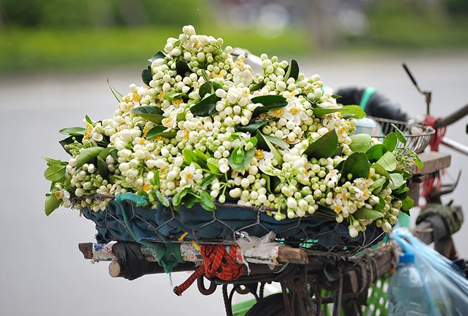 Hoa bưởi đầu mùa “cháy hàng”