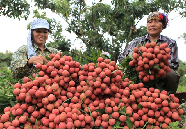 Gỡ rào cản để thúc đẩy tiêu thụ nông sản