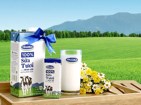 Vinamilk cung cấp khoảng 5,5 triệu hộp sữa tươi mỗi ngày